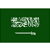 Saudi Arabia Pro League flag