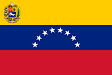 Venezuela Primera División flag
